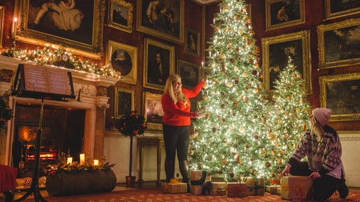 Staff at Saltram decorate the trees in the Red Roomready for Christmas time.